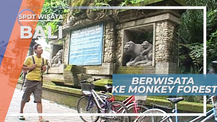 Bersepeda Menuju Monkey Forest Bali