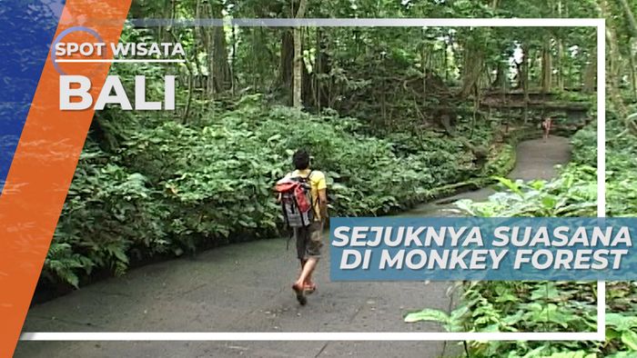 Menikmati Sejuknya Suasana di Monkey Forest Bali