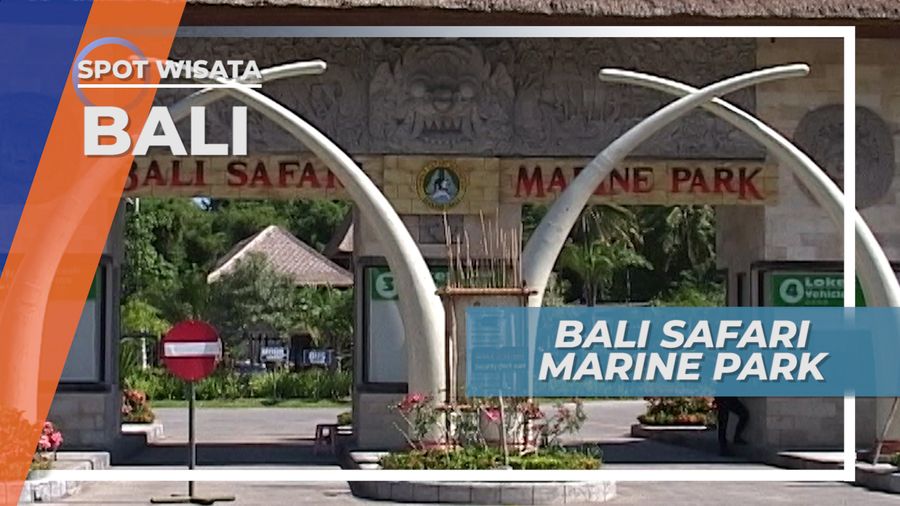 Mengunjungi Kawasan Wisata Satwa Bali, Disediakan Mobil Untuk Bersafari