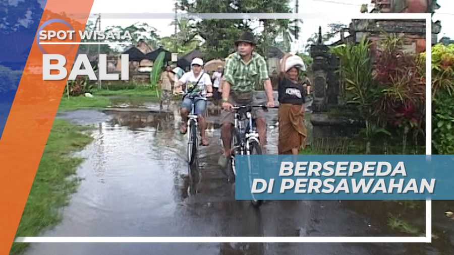 Asiknya Bersepeda di Area Persawahan Ubud Bali
