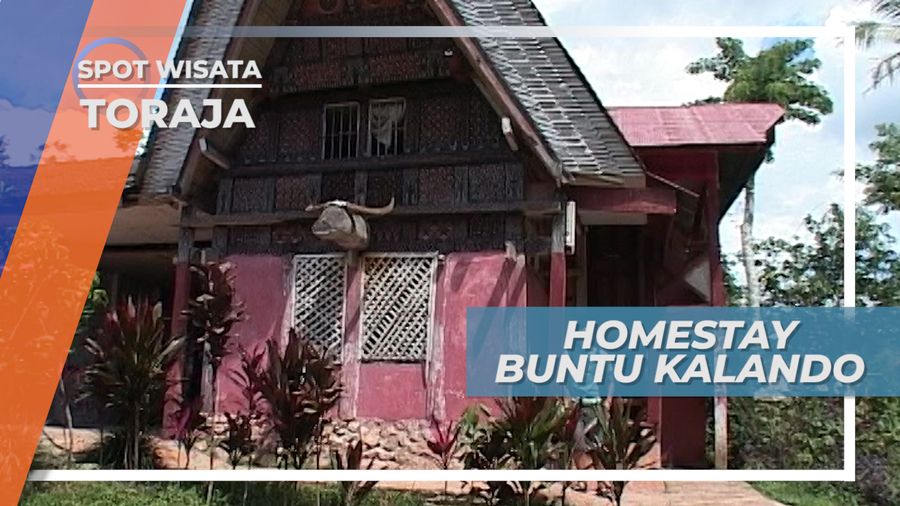 Homestay Buntu Kalando Toraja Sulawesi Selatan