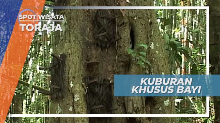 Kuburan Bayi Kambira Toraja Sulawesi Selatan 