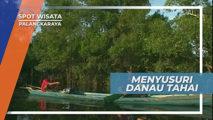 Danau Tahai, Indah dan Wajib Dikunjungi, Palangkaraya