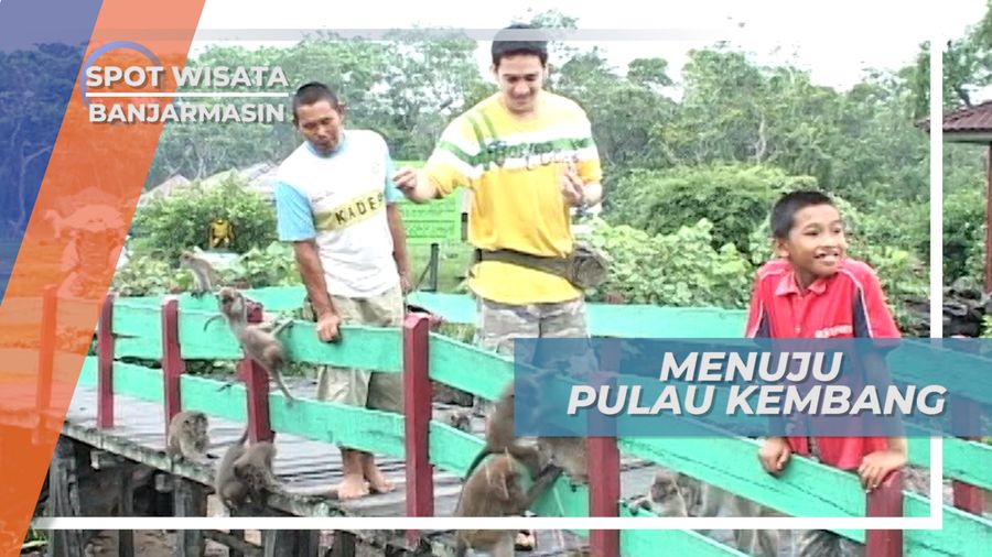Mengunjungi Monyet-Monyet Lucu Pulau Kembang Banjarmasin