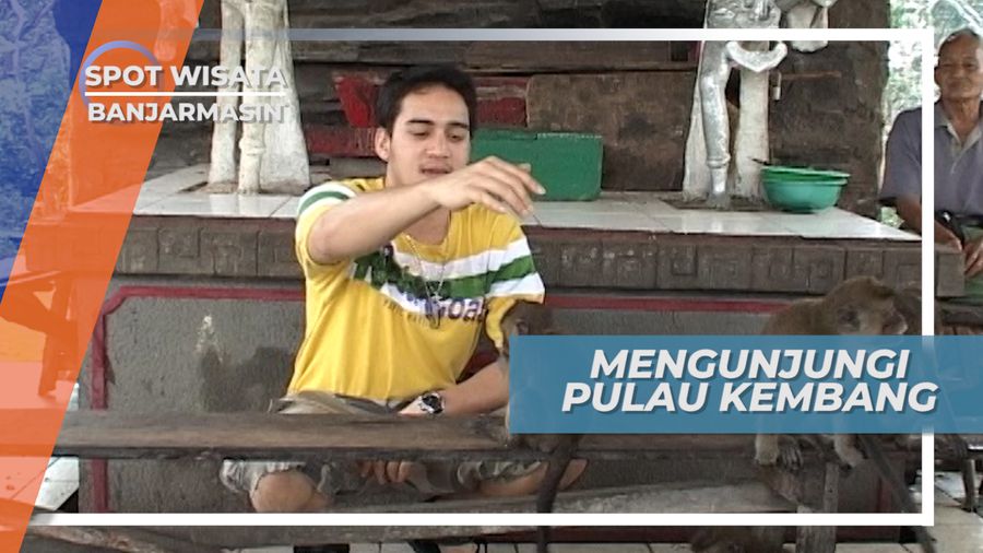 Monyet-Monyet Lucu Pulau Kembang Banjarmasin Yang Selalu Menjadi Teman Main Yang Seru