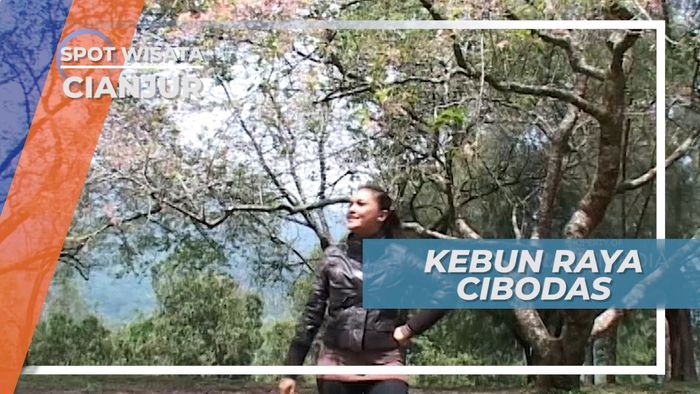 Kebun Raya Cibodas, Destinasi Wisata Keluarga Favorit di Cianjur