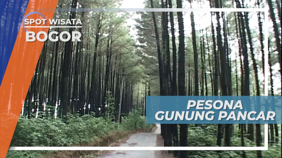 Gunung Pancar, Destinasi Wisata Alam yang Wajib Dikunjungi saat ke Bogor