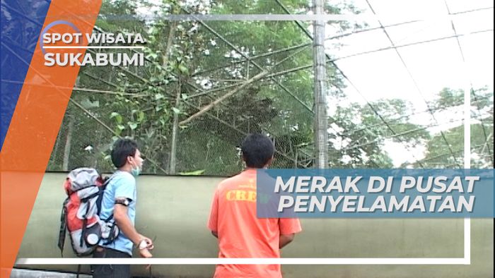 Mengunjungi Pusat Penyelamatan Satwa di Kampung Cikananga, Sukabumi