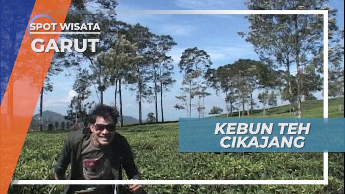 Kebun Teh Cikajang, Keindahan Panorama Hijau nan Indah di Desa Cikandang Garut