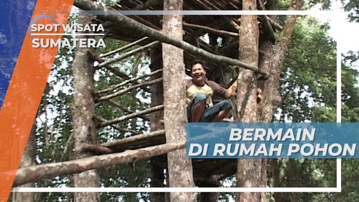 Melihat Pemandangan Alam yang Indah dari Rumah Pohon, Sumatera