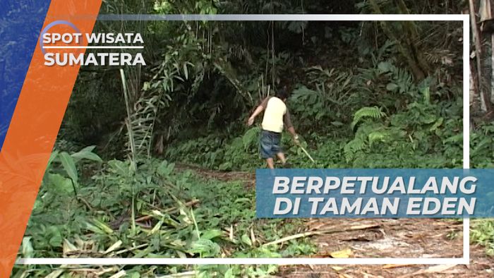 Berpetualang Menyusuri Hutan Wisata Taman Eden 100, Sumatera