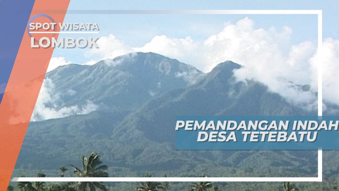 Menikmati Pesona Keindahan Desa Tetebatu Lombok yang Memukau