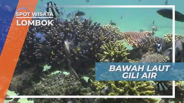 Indahnya Bawah Laut Gili Air yang Memukau, Lombok