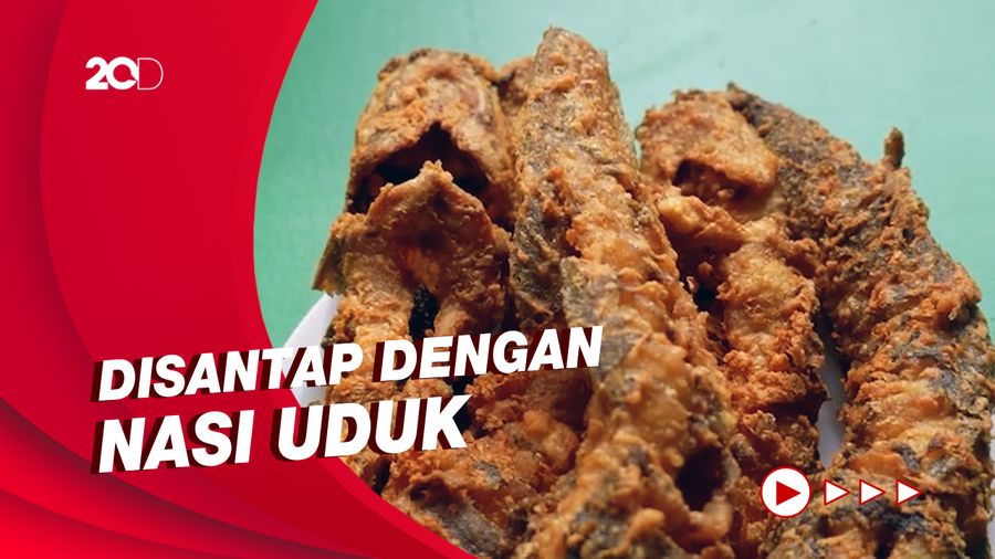 Bikin Laper: Gurih Renyah Pecel Lele Goreng Tepung