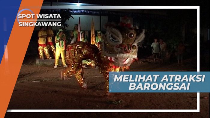 Meriahnya Atraksi Barongsai di Singkawang Kalimantan Barat