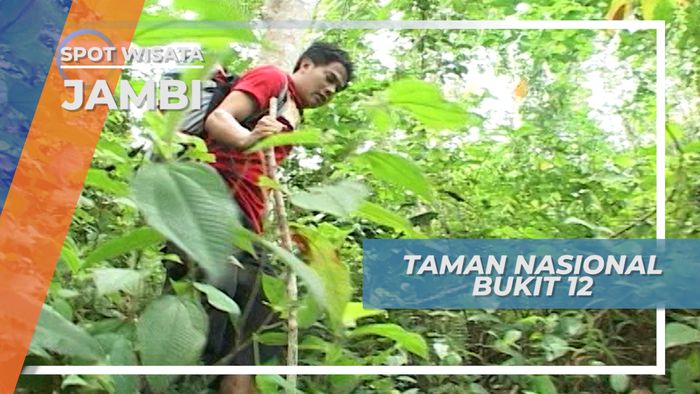 Bertemu Orang Rimbo di Taman Nasional Bukit 12 Jambi