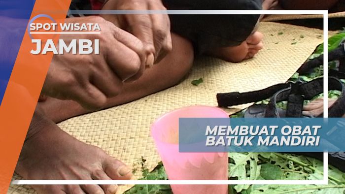 Bertemu Orang Rimbo, Membuat Obat Batuk Berbahan Tumbuhan Hutan Bukit 12 Jambi