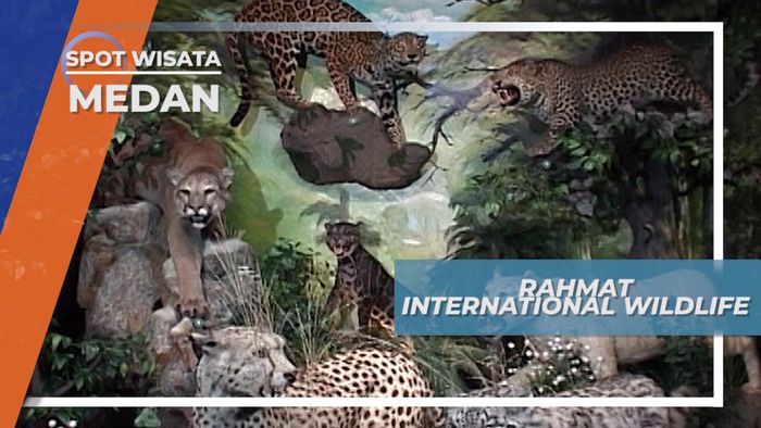 Berburu ala Konservasi di Rahmat International Wildlife Medan
