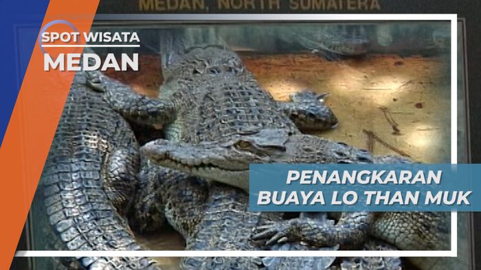 Taman Buaya Asam Kumbang, Konservasi Berasal dari Hobi, Medan