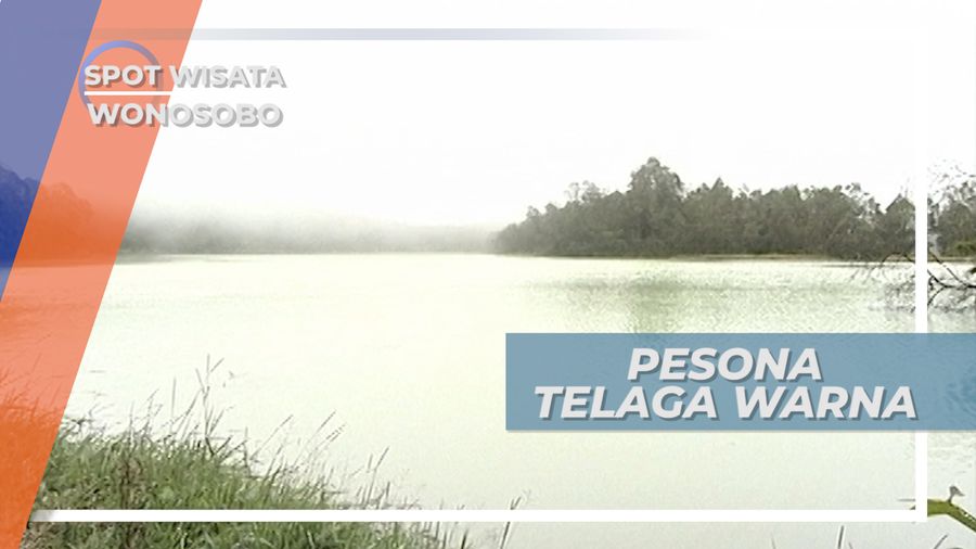 Warna Unik Air Telaga Warna Wonosobo