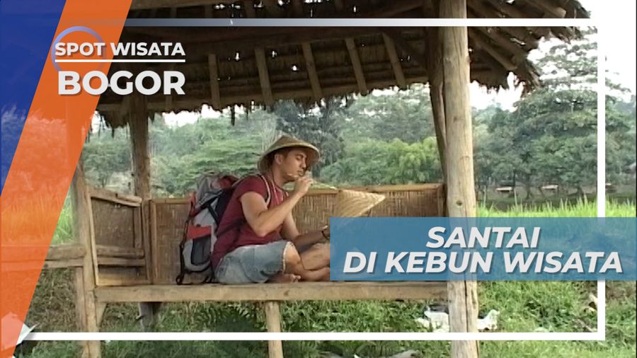 Bersantai di Tengah Hamparan Sawah Area Kebun Wisata Pasir Mukti, Bogor