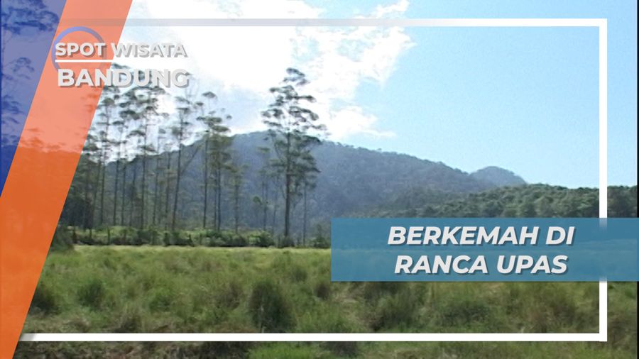 Berkemah di Ranca Upas, Tempat Penangkaran Rusa di Bandung