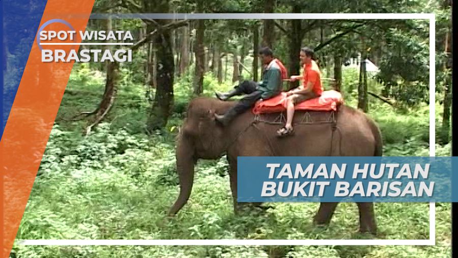Keliling Taman Hutan Raya Bukit Barisan dengan Naik Gajah, Berastagi