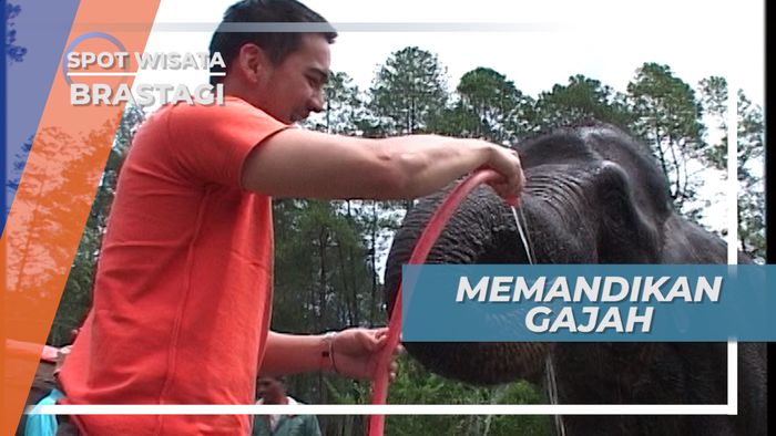 Serunya Wisata Memandikan Gajah di Taman Hutan Bukit Barisan, Berastagi
