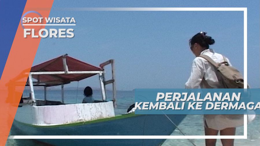 Menikmati Taman Laut Kecil dari atas Perahu Menuju Dermaga, Flores