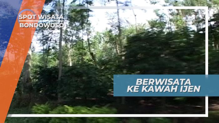 Pesona Keindahan kawah Ijen, Pemandangan Danau Terindah di atas Awan, Bondowoso