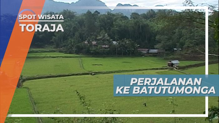 Batutumonga, Jalan Setapak Berpemandangan Indah di Toraja 