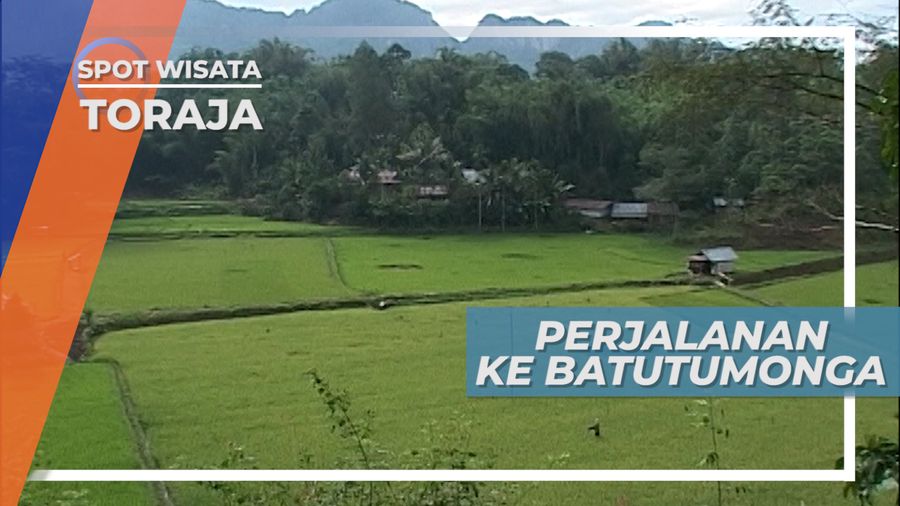 Batutumonga, Jalan Setapak Berpemandangan Indah di Toraja 