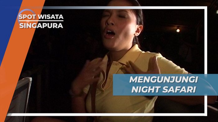 Safari Malam, Bertemu Karnivora Malam Singapura