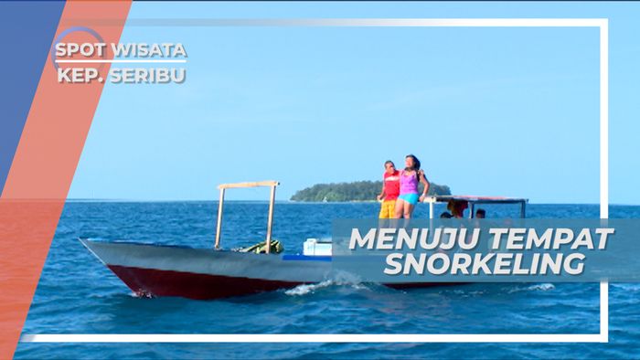 Snorkeling di Perairan Kepulauan Seribu, Menikmati Keindahan Biota Laut