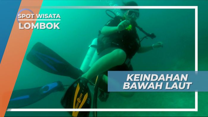 Keindahan Bawah Permukaan Laut Lombok, Menyelami Dasar Laut