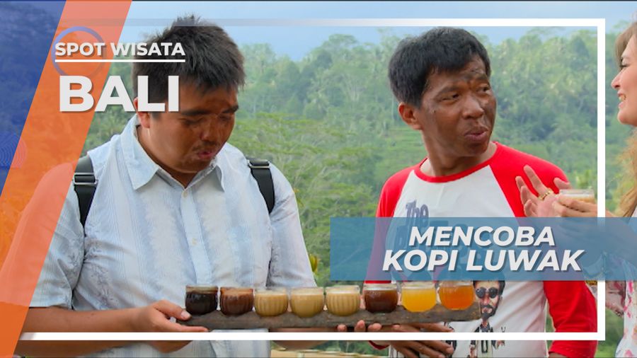 Mencicipi Kopi Luwak Gianyar Bali, Rasa Kopi Termahal Di Dunia
