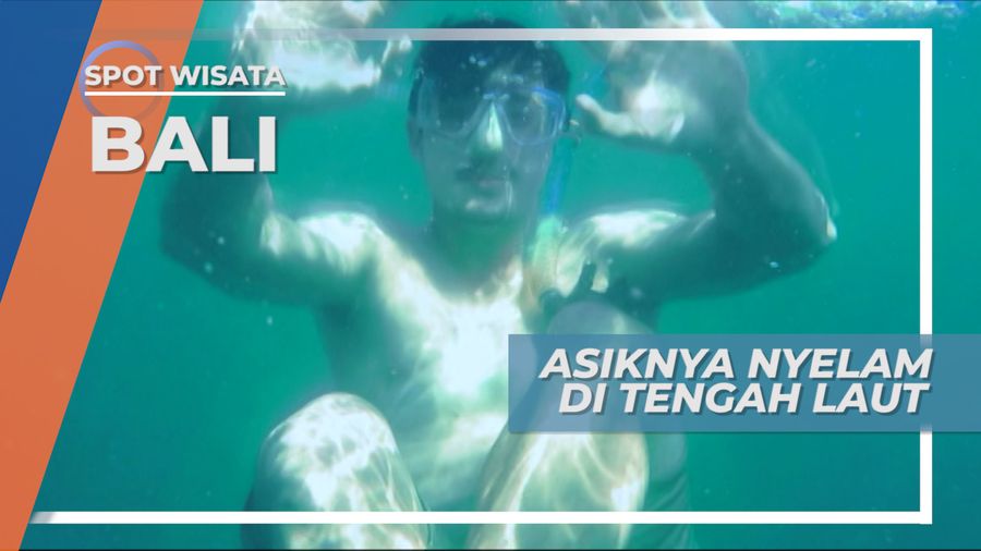 Snorkeling di Tengah Laut Bali, Keindahan Dunia Bawah Air 