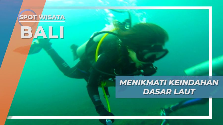 Tulamben, Menikmati Keindahan Bawah Laut di Titik Penyelaman Suci Place Bali