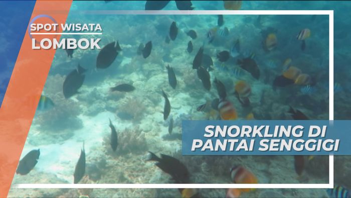 Snorkling, Mengintip Indahnya Bawah Laut Pantai Senggigi Lombok