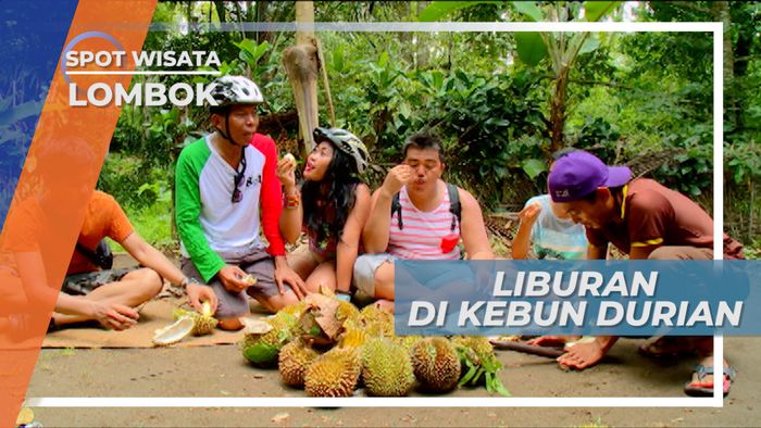 Berlibur di Kebun Durian Lombok, Bak Menunggu Durian Runtuh di Karang Bayan  