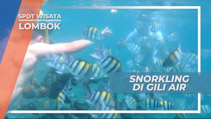 Snorkling Gili Air, Keindahan Bawah Air Laut Lombok
