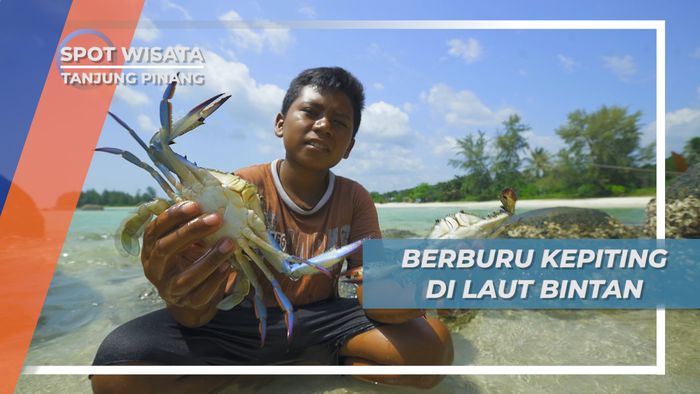 Berburu Ketam Saat Musim Angin Selatan, Kepiting Buruan di Laut Bintan Tanjung Pinang