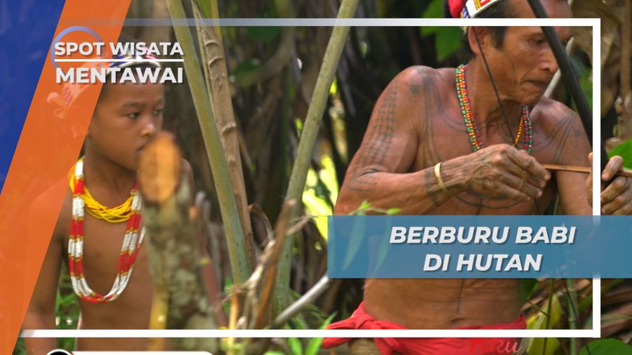 Berburu Hewan Di Hutan Mentawai