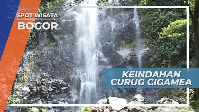 Curug Cigamea Bogor, Air Terjun Dengan Ketinggian 50 Meter