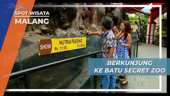 Memberi Makan Harimau, Wisata Satwa di kota Batu Malang