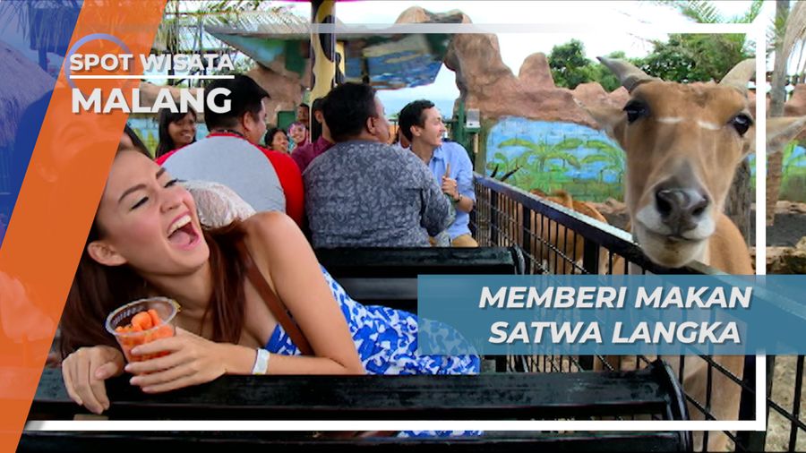 Bercengkrama Dengan Hewan Langka dan Jinak di Kota Batu Malang