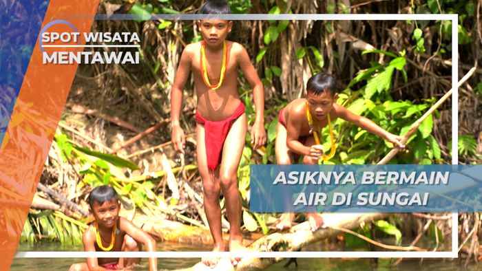 Sejuknya Air, Dalamnya Sungai Tak Membuat Takut Anak Suku Mentawai 