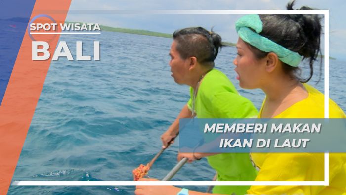 Memberi Makan Ikan di Laut, Bali