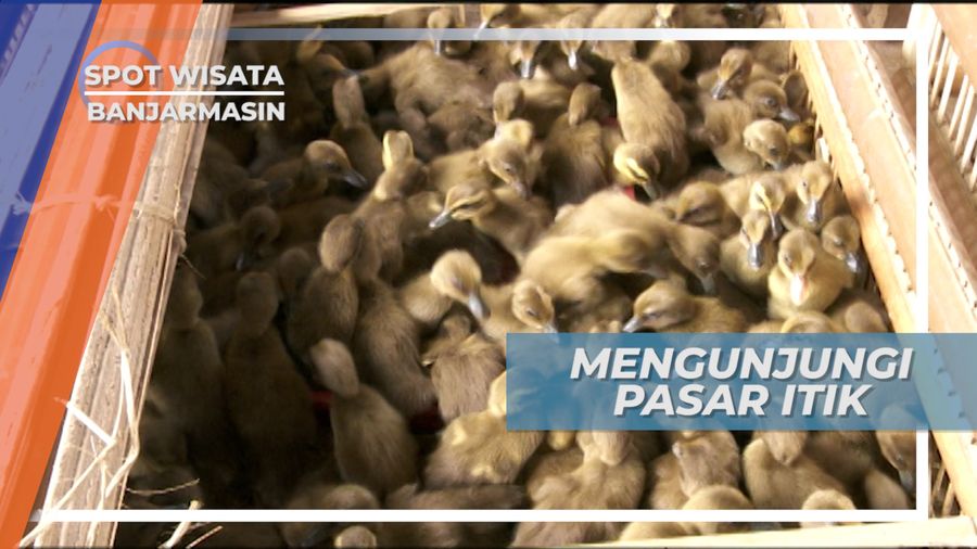 Mengunjungi Alabio, Pasar Itik yang Hanya Buka Hari Rabu, Banjarmasin