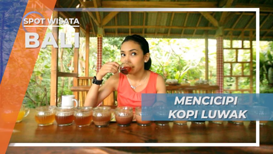 Seruput Nikmat Kopi Luwak Bali, Sensasi Cita Rasa Khas Menyapa Lidah